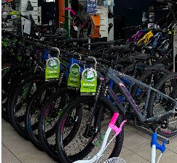 Bicicletas em exposição na loja